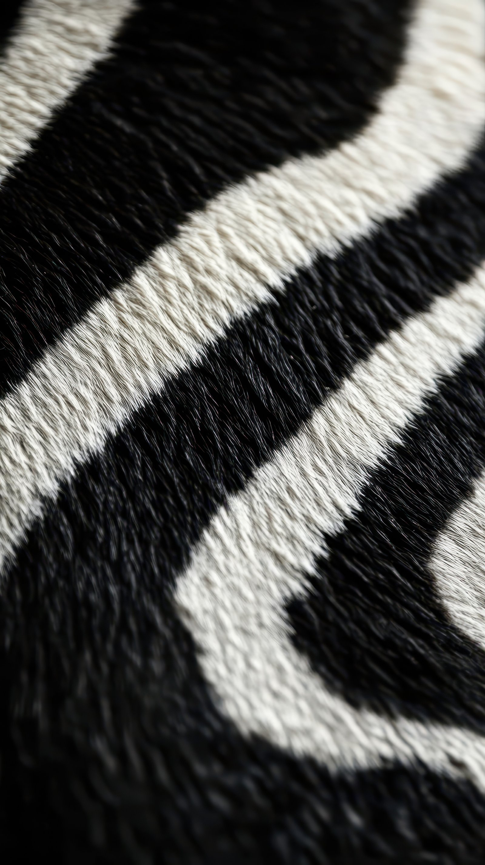 Close-up of zebra stripes showcasing intricate black and white patterns on the animal's fur in natural light